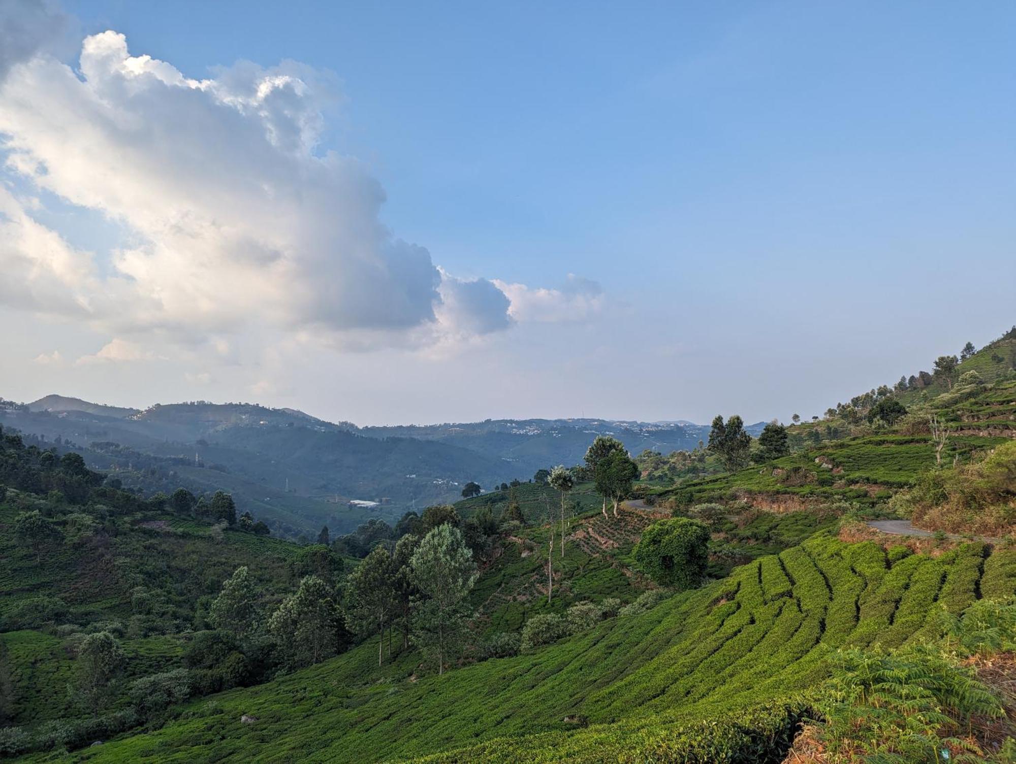 Ghar Homestay, קוטאגירי מראה חיצוני תמונה