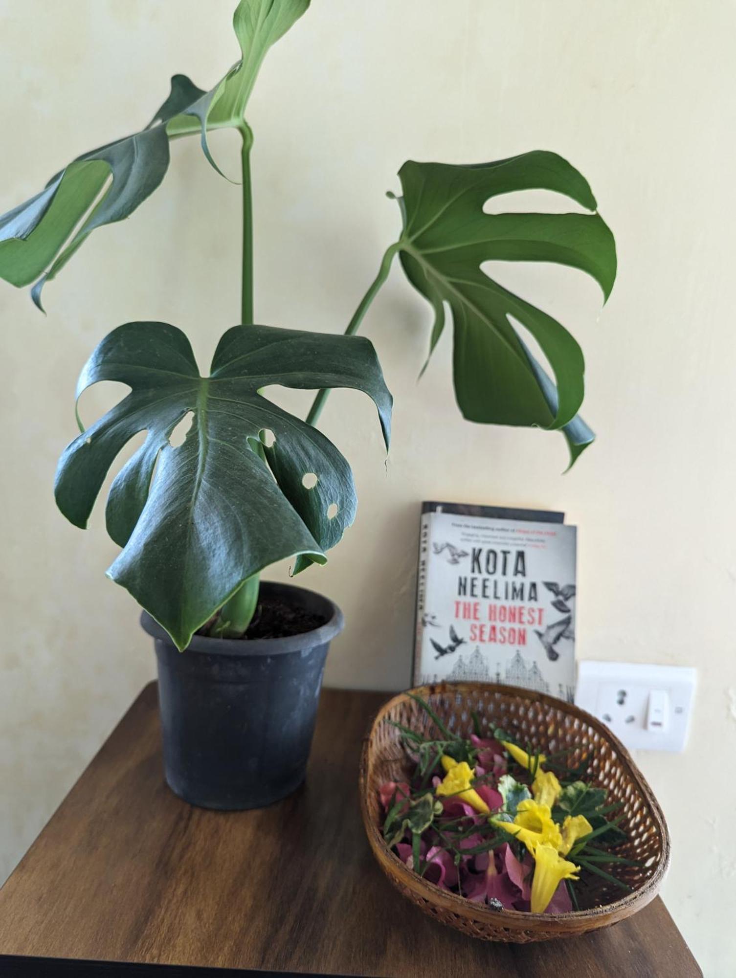 Ghar Homestay, קוטאגירי מראה חיצוני תמונה
