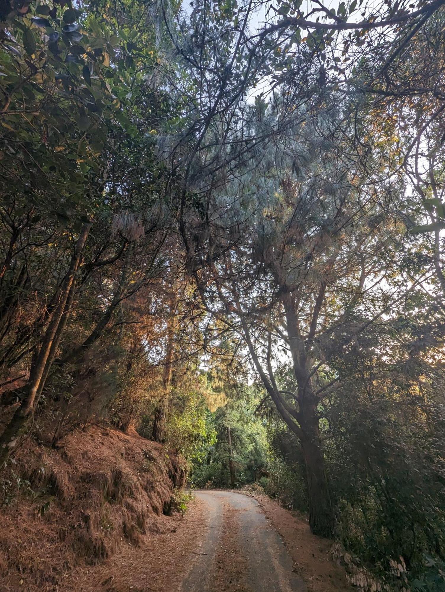 Ghar Homestay, קוטאגירי מראה חיצוני תמונה
