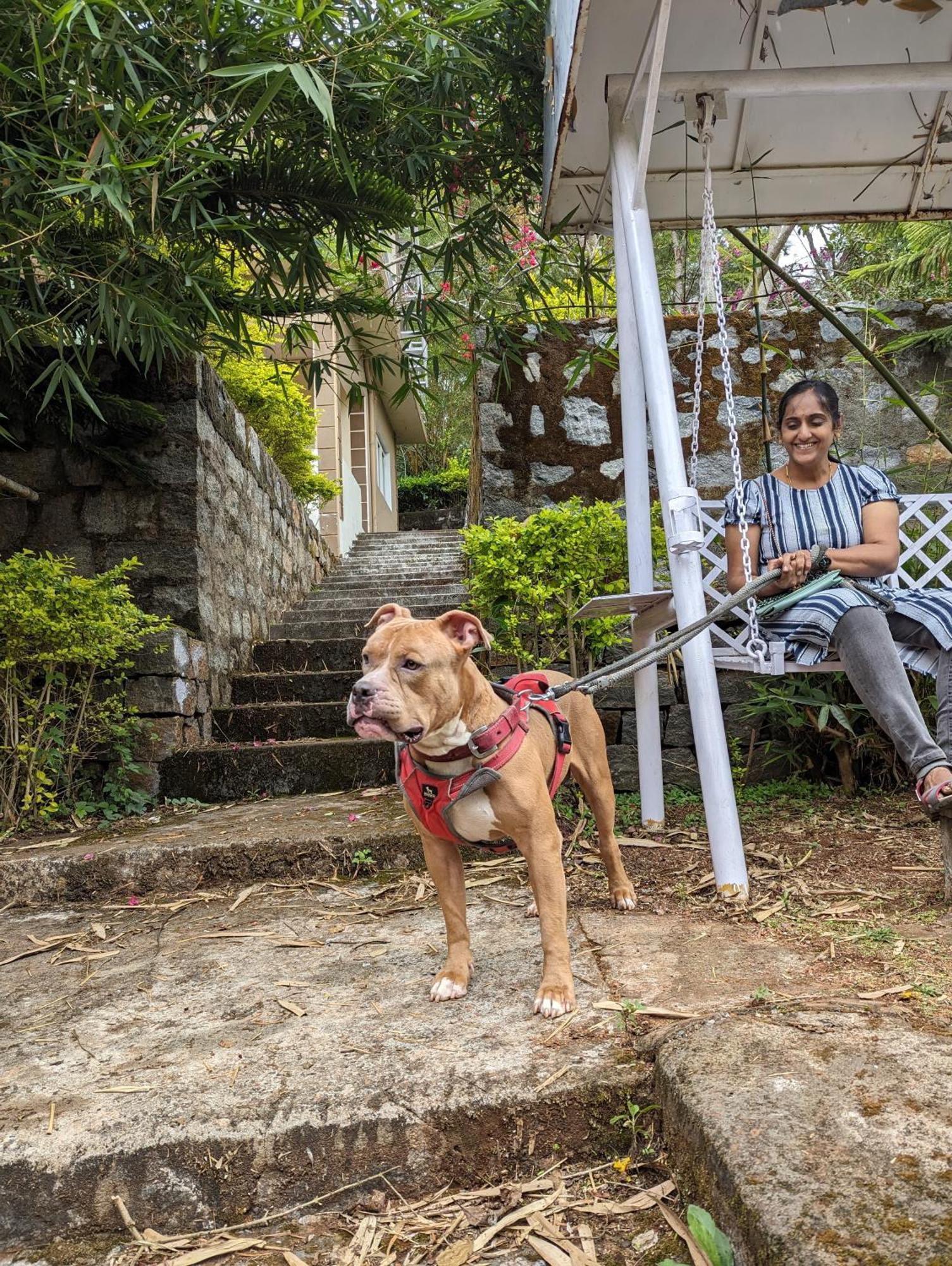 Ghar Homestay, קוטאגירי מראה חיצוני תמונה